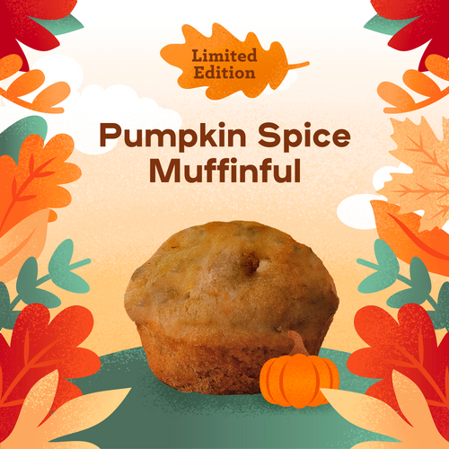 Pumpkin Spice Mini Muffin 3-Pack LIMITED EDITION