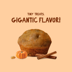 Pumpkin Spice Mini Muffin 3-Pack LIMITED EDITION